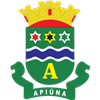Brasão de Apiúna